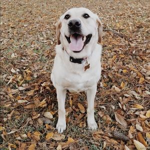 Meet your Posher, Regan